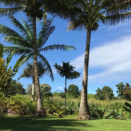 Island Goode'S - Luxury Adult Only Accommodation Near Hilo Papaikou ภายนอก รูปภาพ