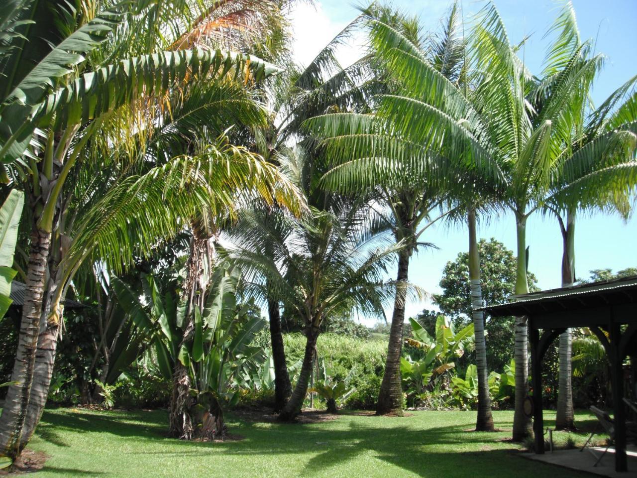 Island Goode'S - Luxury Adult Only Accommodation Near Hilo Papaikou ภายนอก รูปภาพ