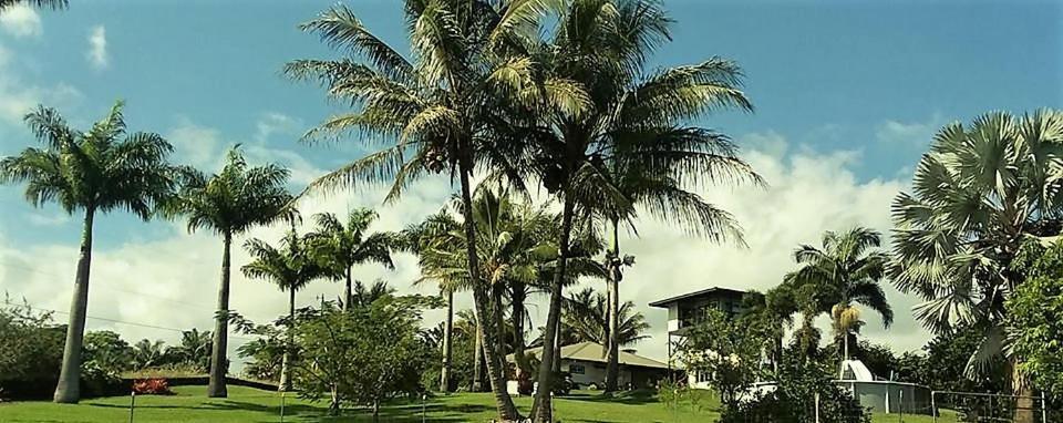 Island Goode'S - Luxury Adult Only Accommodation Near Hilo Papaikou ภายนอก รูปภาพ
